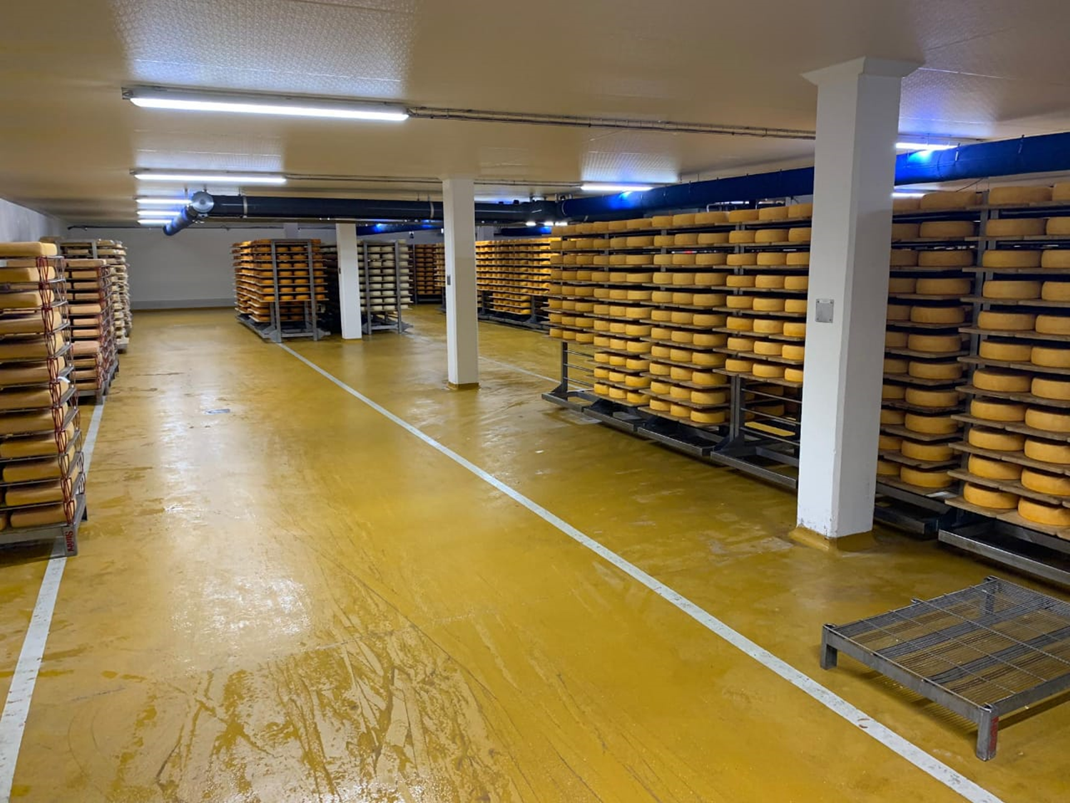 Приглашаем на выставку DairyTech 2023 в МВЦ «Крокус Экспо» 25-27 января!