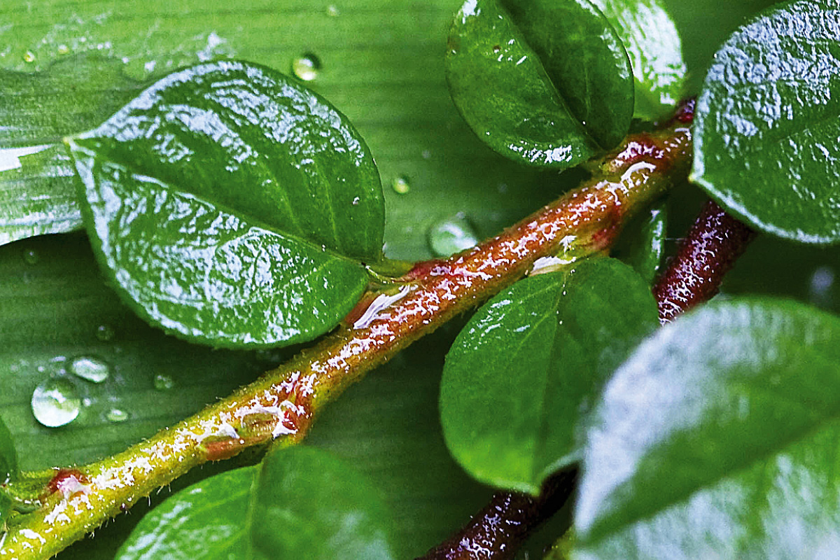 Sika получила высокую оценку в области устойчивого развития в  сфере экологии, социальной сферы, а также сферы управления (ESG).